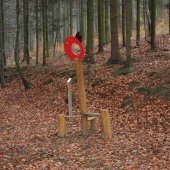 Lesní pěšinou podél řeky Otavy